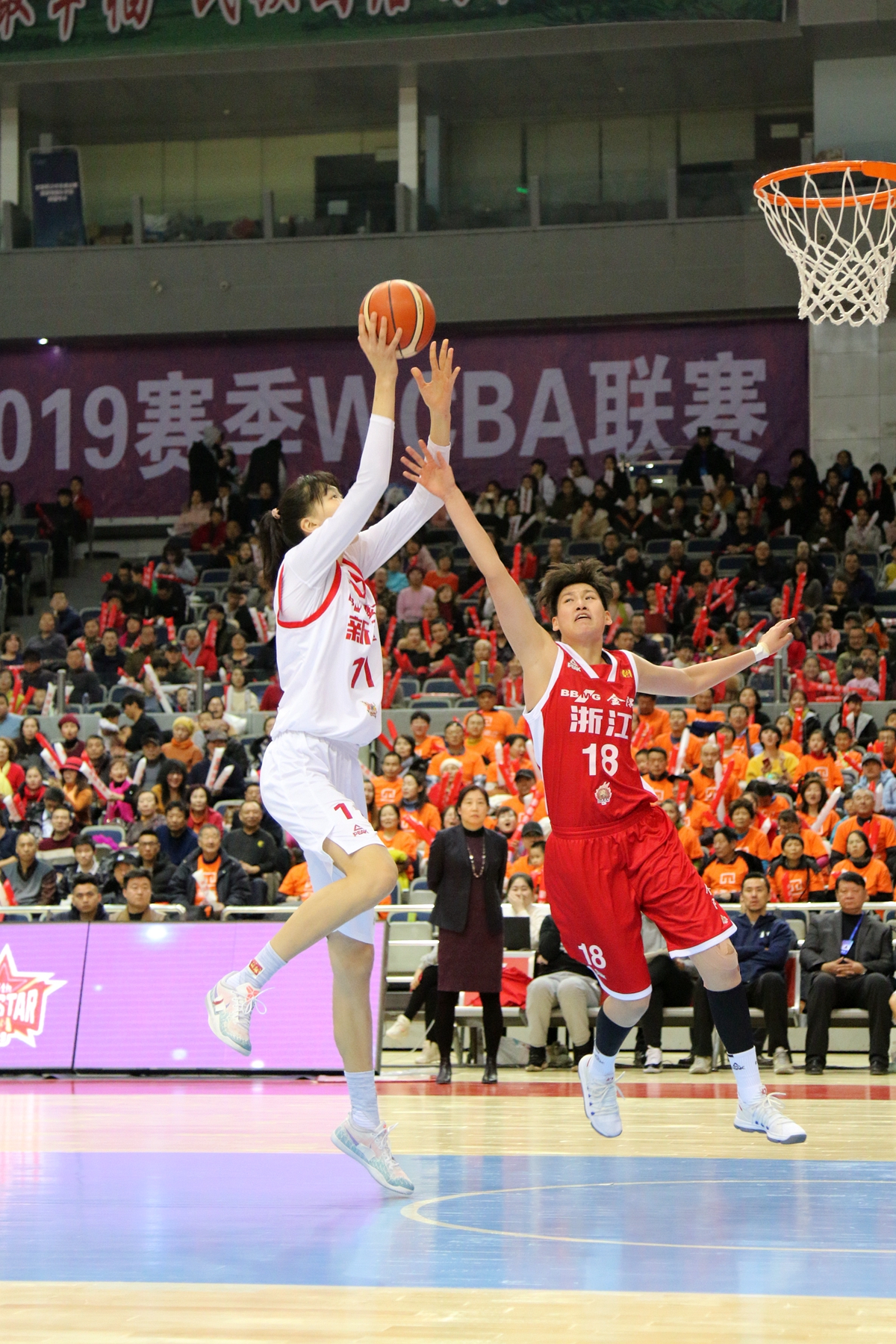 浙江队轻取辽宁队，武切维奇惊艳四座