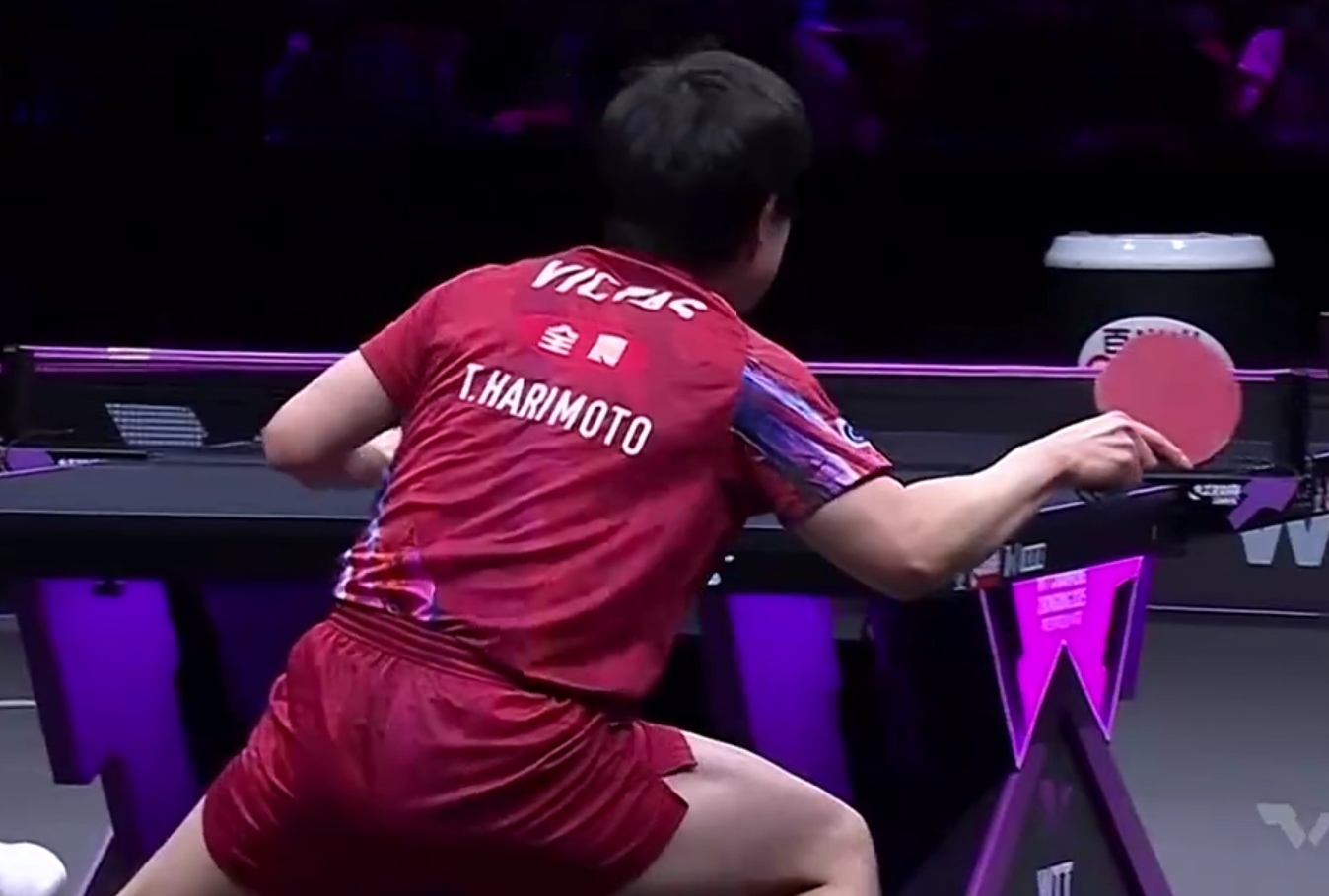 英国乒乓球队碾压法国乒乓球队，张本智和关键制胜