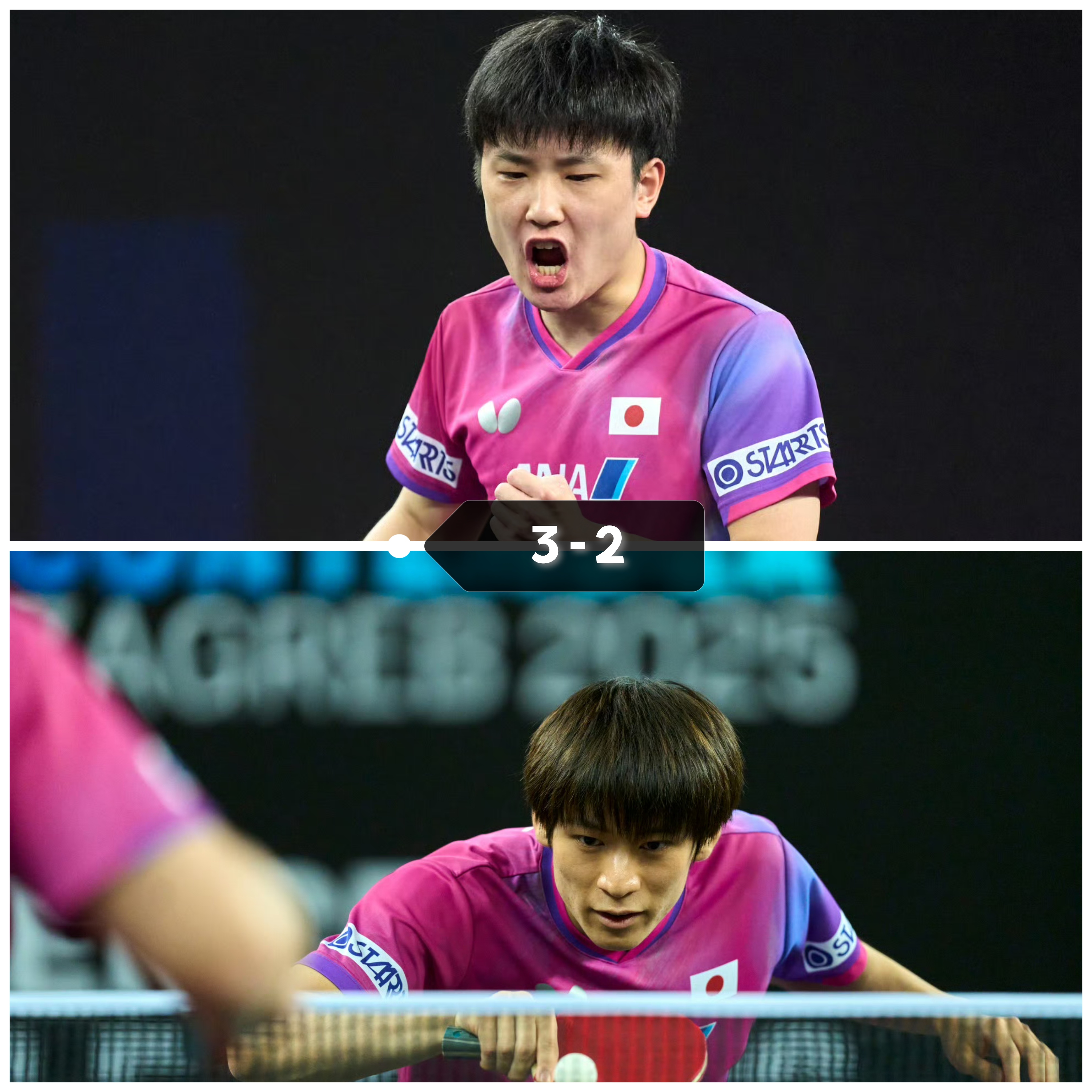 英国乒乓球队鏖战波兰乒乓球队，张本智和打破历史纪录