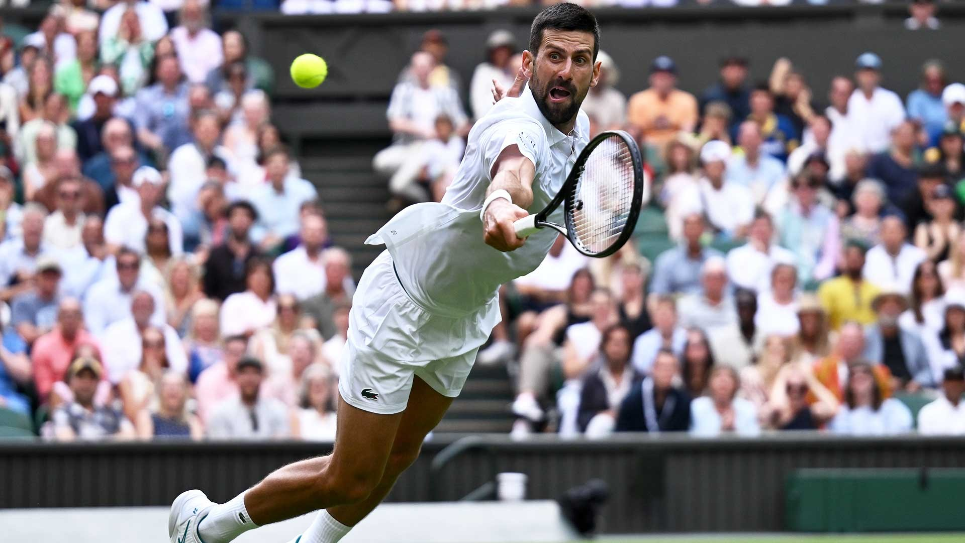 温网力克戴维斯杯,德约科维奇扛起全队 温网力克戴维斯杯,德约科维奇扛起全队