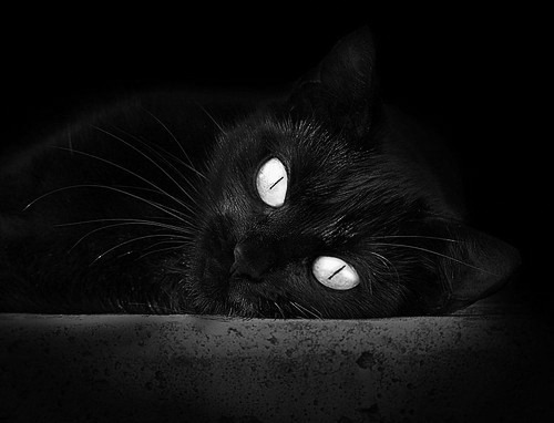 活塞强压山西队,詹姆斯成为关键先生,一场跨越篮球文化的对话