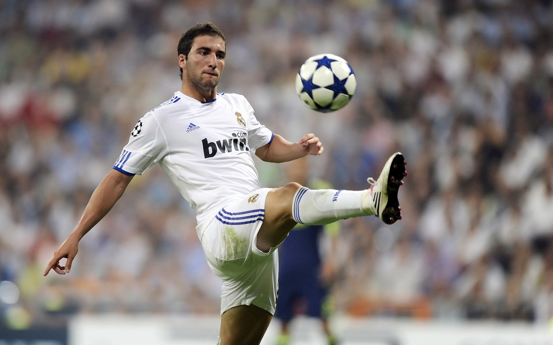 从尼罗河到硬木场，当埃及的坚韧遇见总决赛的硝烟